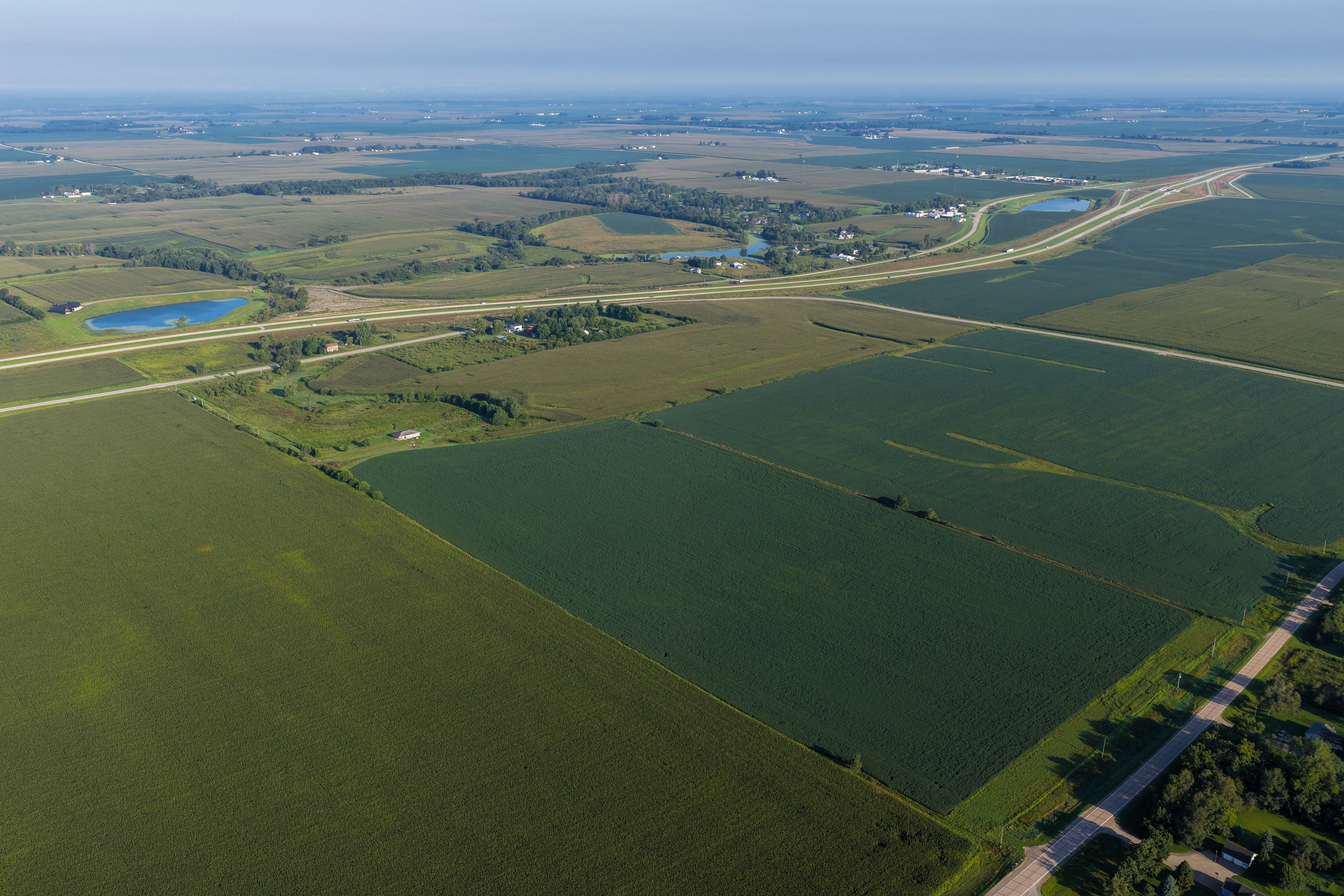 Listing Photo: 90 CSR2 Louisa County Farmland For Sale-9